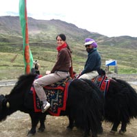 Central India Adventure Tours