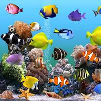 Marine Aquarium and Regional Centre