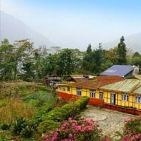 Varsey Rhododendron Sanctuary