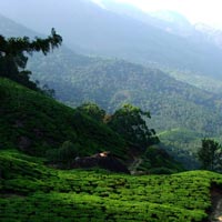 Kerala Hills