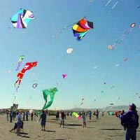 National Kite Flying Competition