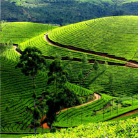 Munnar