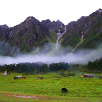 Yumthang Valley