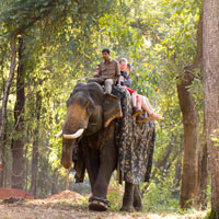 Bondla Elephant rides