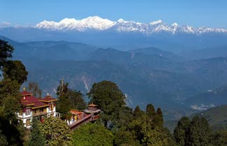 Darjeeling Tea Gardens