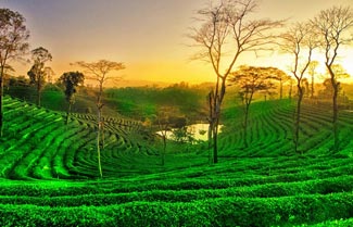  On Natures Trail Tour