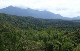 Kerala Wildlife Sanctuaries