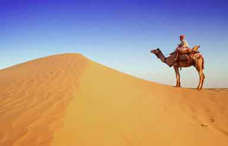 Rajasthan Desert