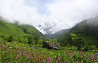 On Natures Trail Tour