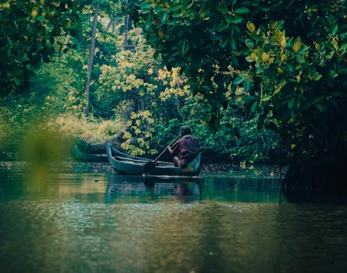 Backwater Beach Tours Kerala