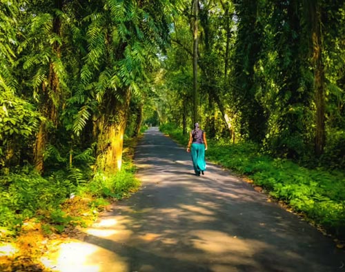 Kerala Tourism Package